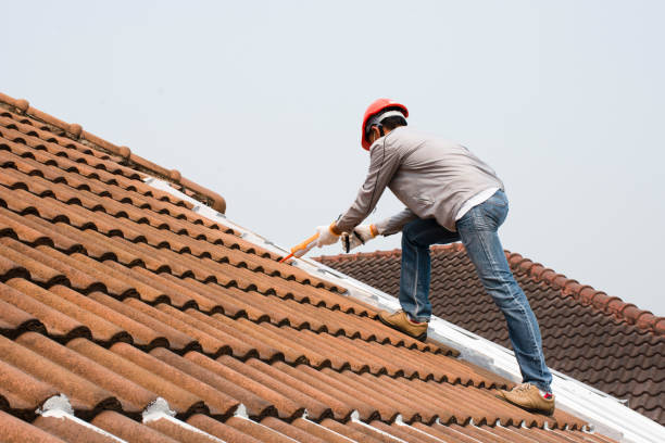 Best Roof Moss and Algae Removal  in Cos Co, CT